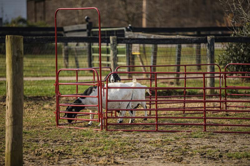 Pipe Panel Walk-Thru