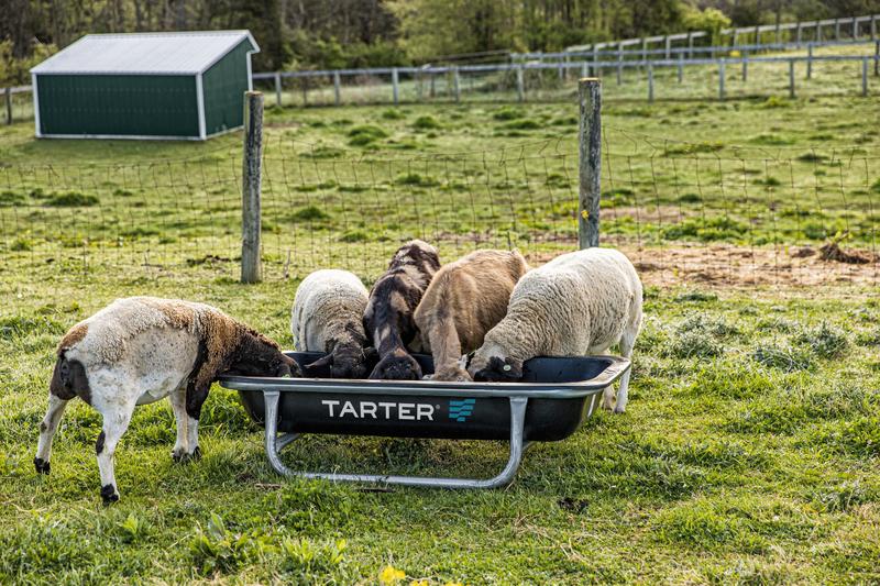 Goat Bunk Feeder