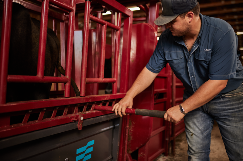 Cattlemaster Series 12 Hydraulic Chute