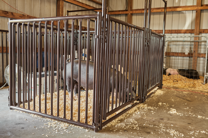 Expo Hog & Sheep Panel