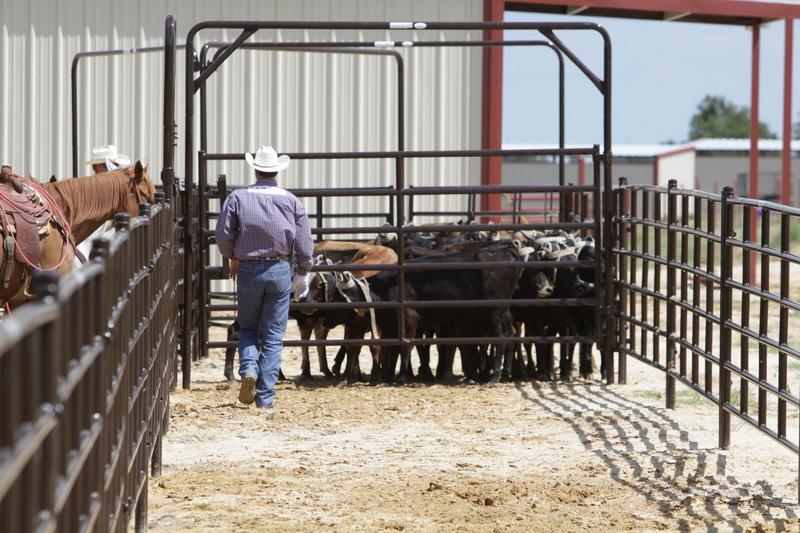 HEAVY-DUTY ARENA WALK-RIDE-DRIVE-THRU