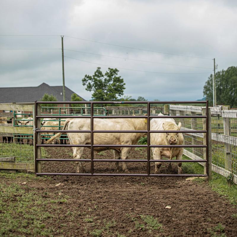 Bullmax XD Square Corner Gate