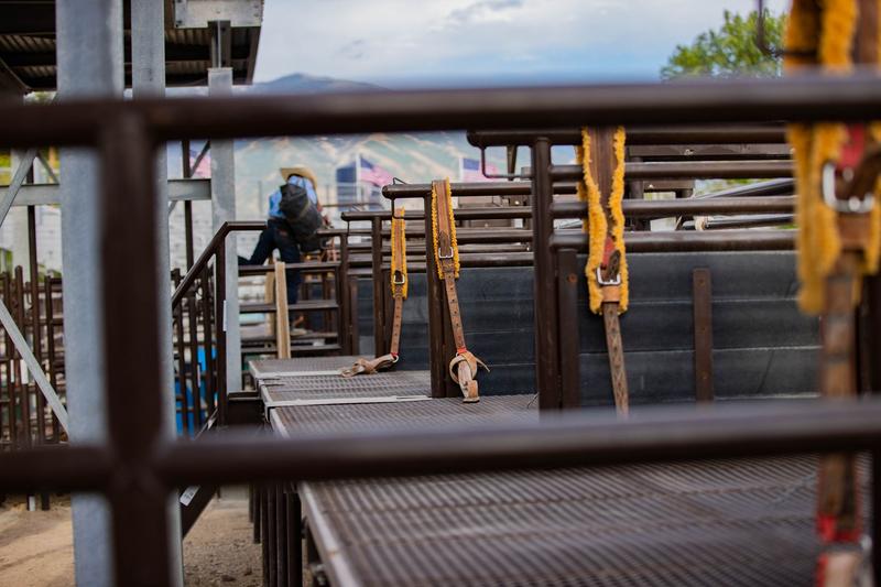 Bucking Chute Platform