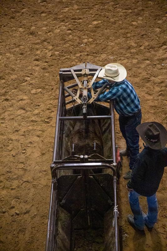 Manual Roping Chute – Economy