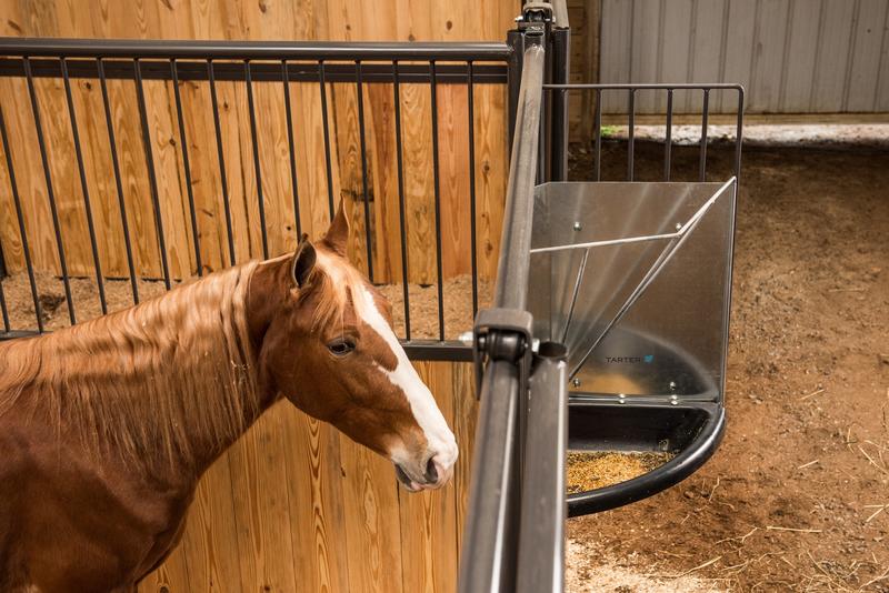 Corner Mount Galvanized Hay & Grain Feeder