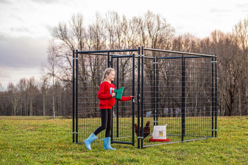 Blue Champion Kennel