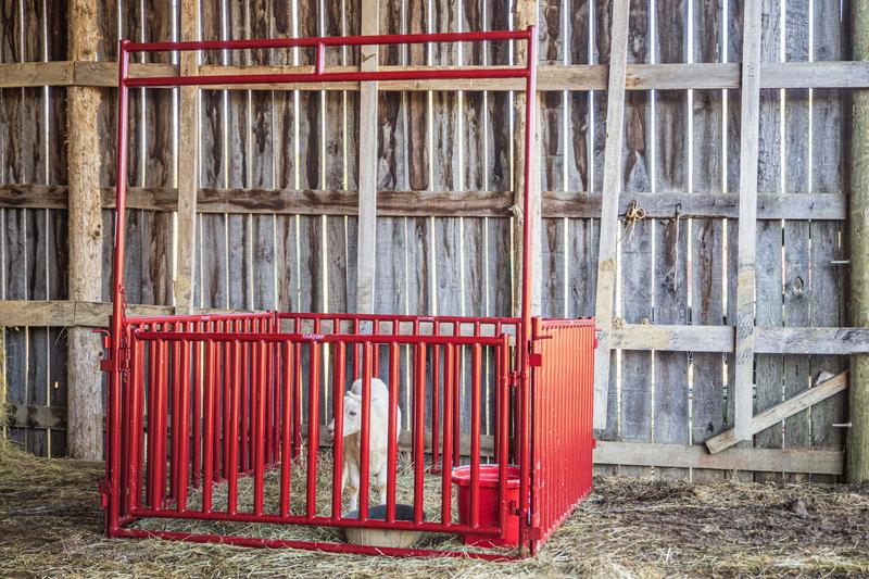 6 FT. Vertical Bar Small Animal Walk-Thru