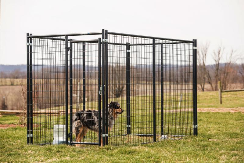 Blue Champion Kennel