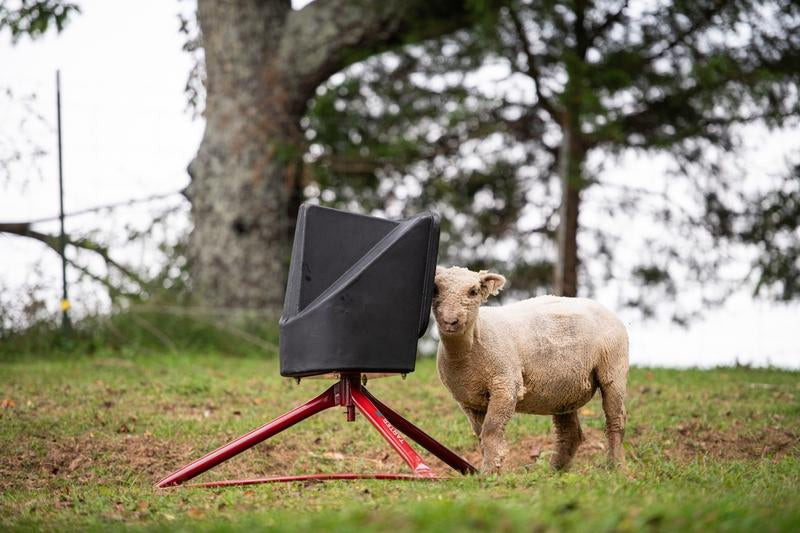 Small Animal Mineral Feeder