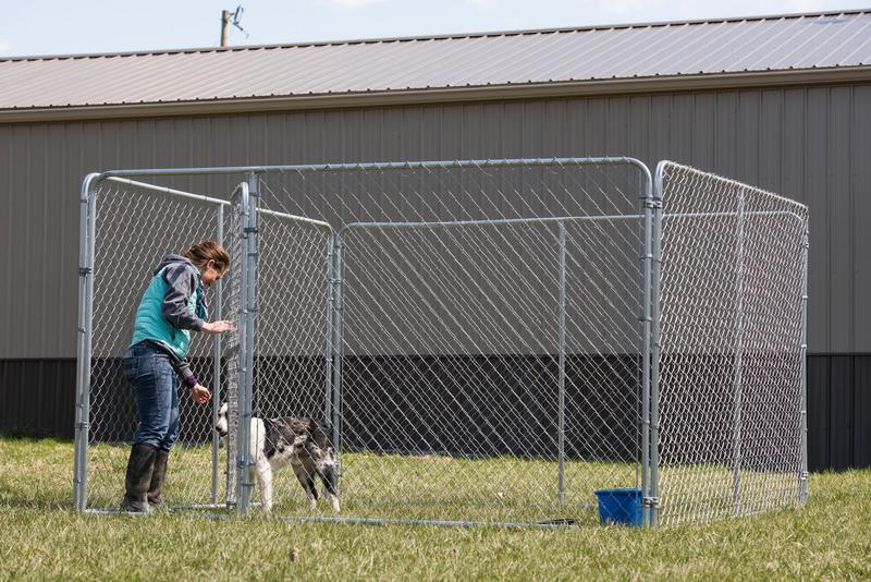 Galvanized Chain Link Kennel