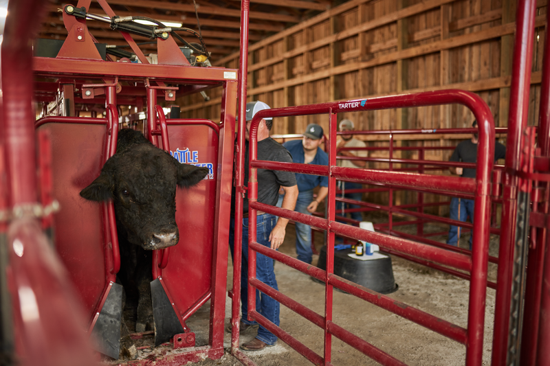 Cattlemaster Series 12 Hydraulic Chute