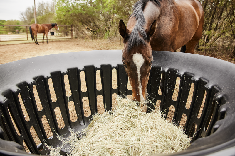 Equine Hay Basket