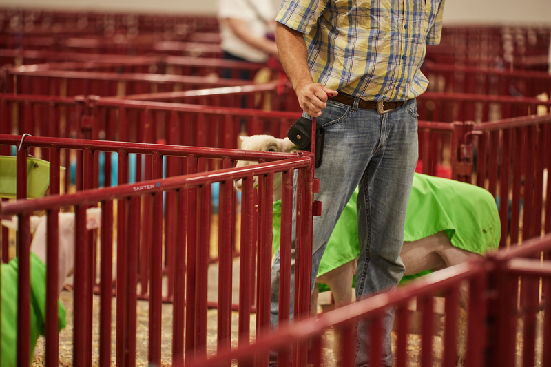 6 FT. Heavy-Duty Vertical Bar Small Animal Panel