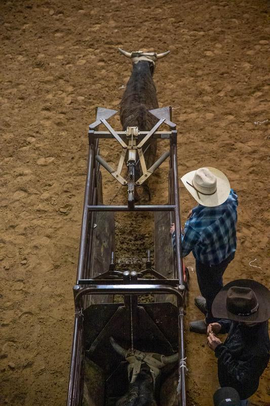 Manual Roping Chute – Economy