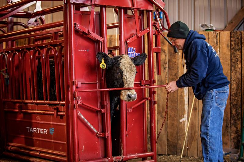 Cattlemaster Series 3 Automatic Headgate