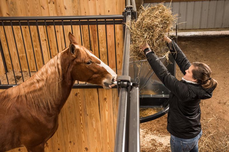 Corner Mount Galvanized Hay & Grain Feeder
