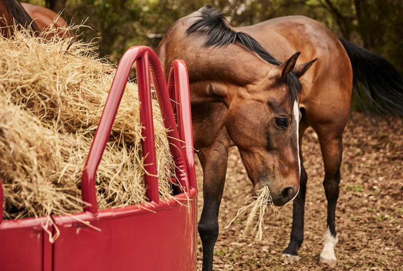 Equine Pro Hay Feeder W/ Hay Saver