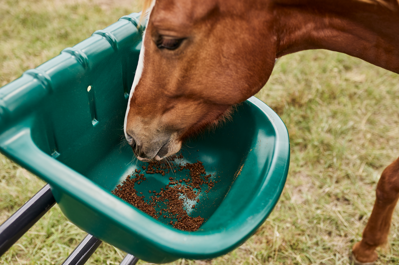 Portable Gate Feeders