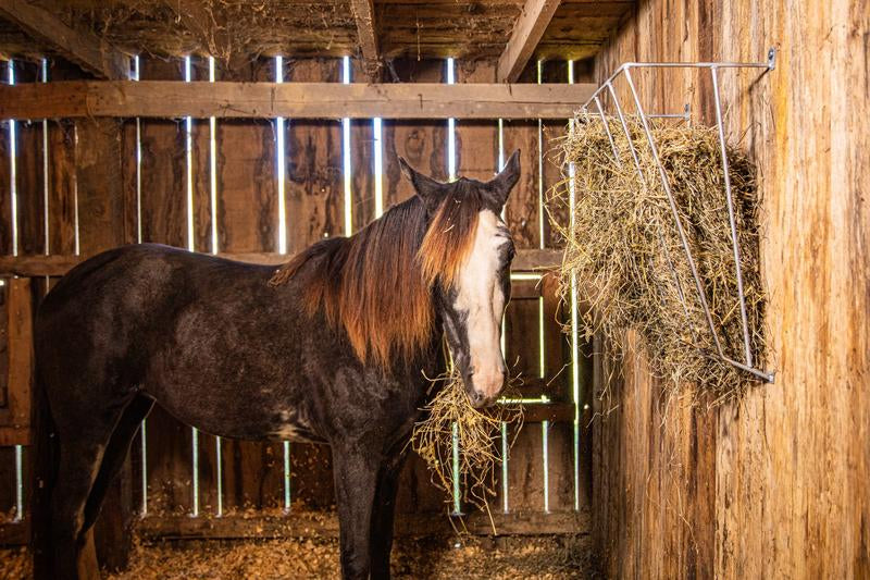 Wall Mount Galvanized Manger Feeder