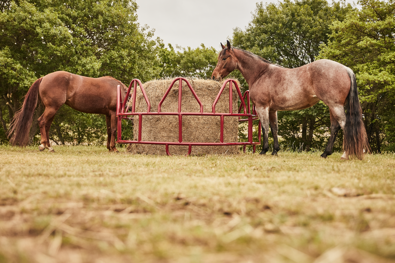 Equine Pro Hay Feeder