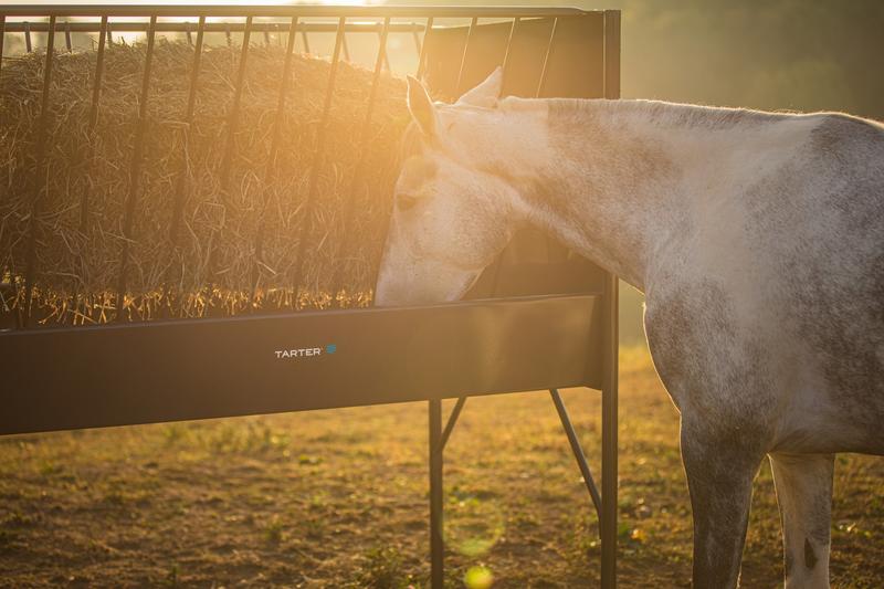 Equine Elevated Hay & Grain Feeder
