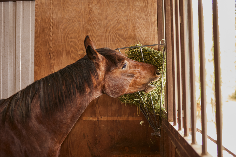 Corner Mount Galvanized Manger Feeder