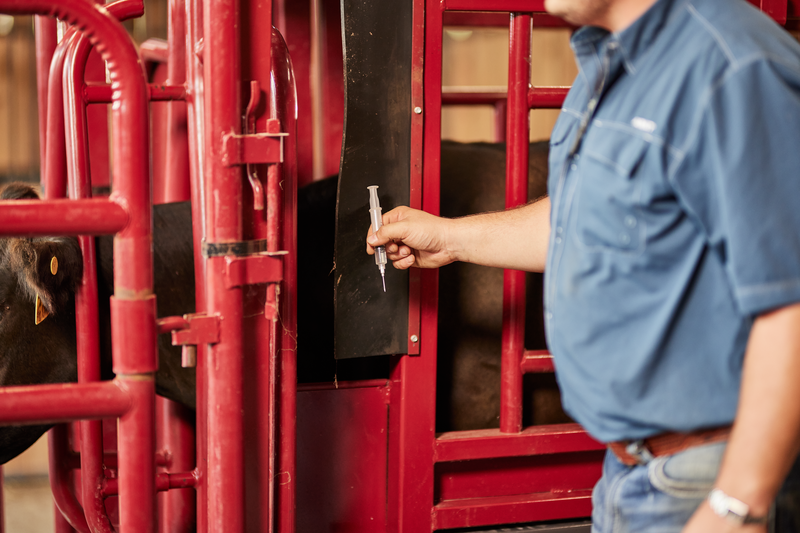 Cattlemaster Series 12 Hydraulic Chute