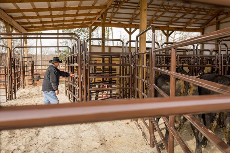 Rough Stock Walk-Thru