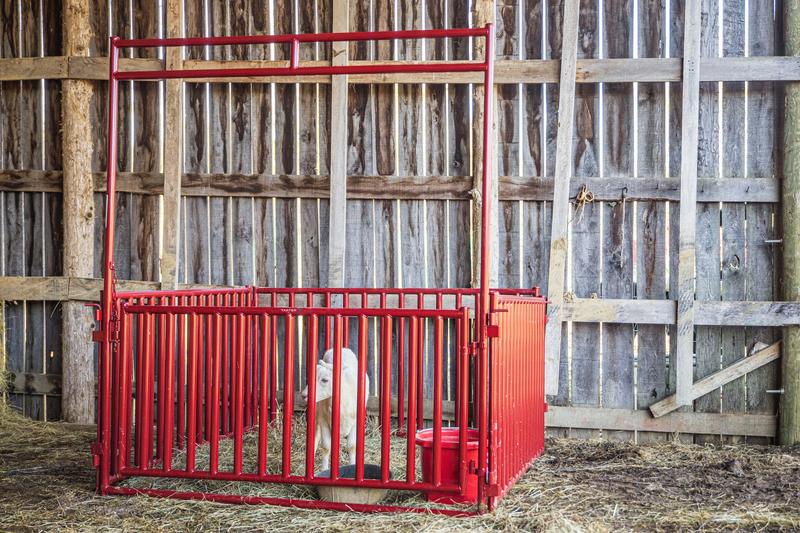 6 FT. Heavy-Duty Vertical Bar Small Animal Walk-Thru