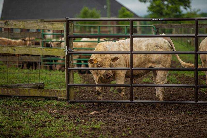 Bullmax XD Square Corner Gate