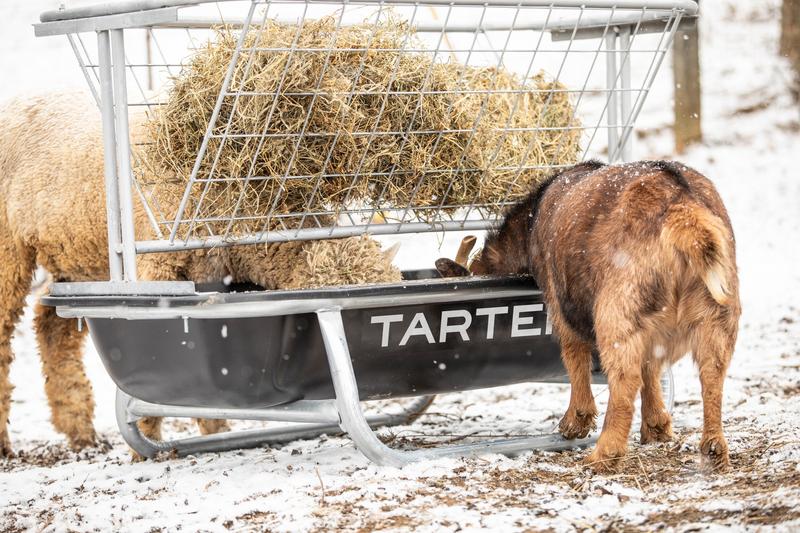 Goat Bunk Feeder Hay Rack