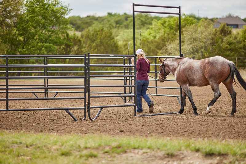 Equimax Panel W/Ride-Thru