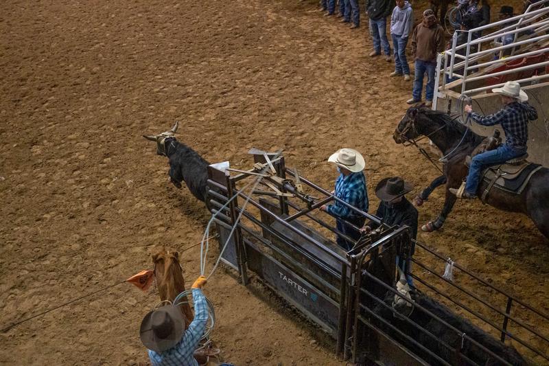 Manual Roping Chute – Economy