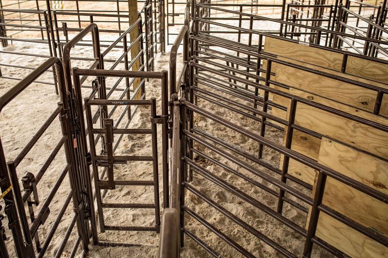 Rough Stock Arena Swinging Alley Gate