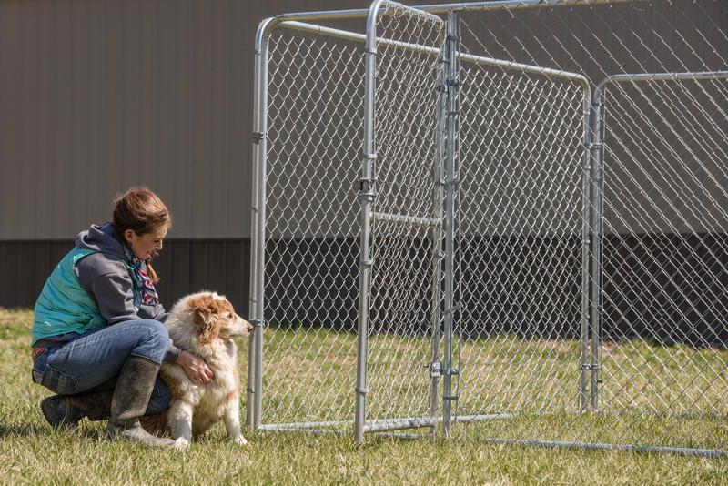 Galvanized Chain Link Kennel