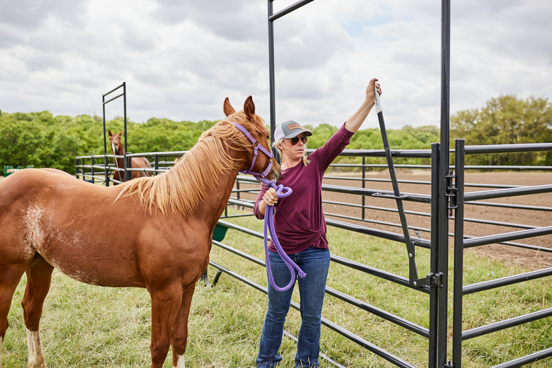 Equimax Panel W/Ride-Thru
