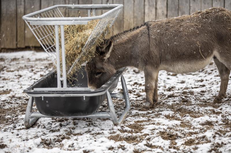 Goat Bunk Feeder Hay Rack