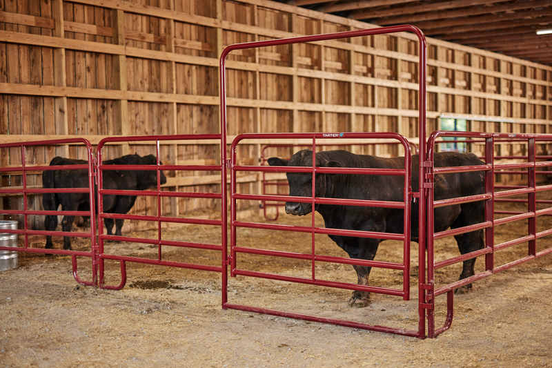 Bullmax Panel W/ Walk-Thru