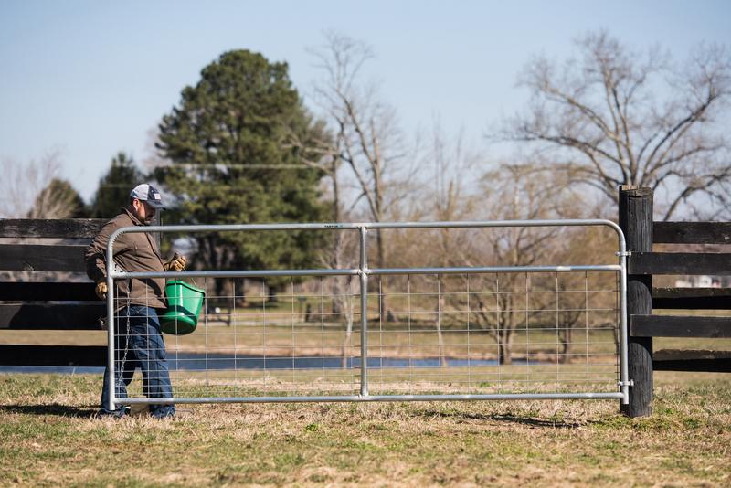 Watchman Galvanized Wire Mesh Gate