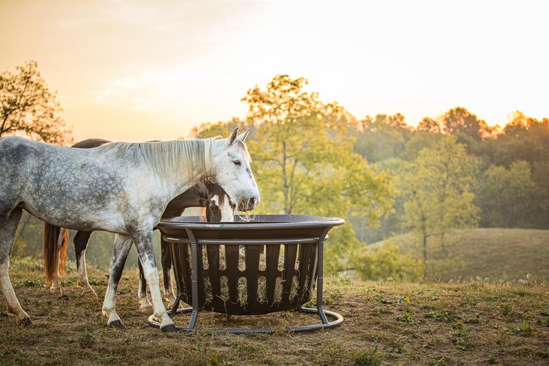 Equine Hay Basket