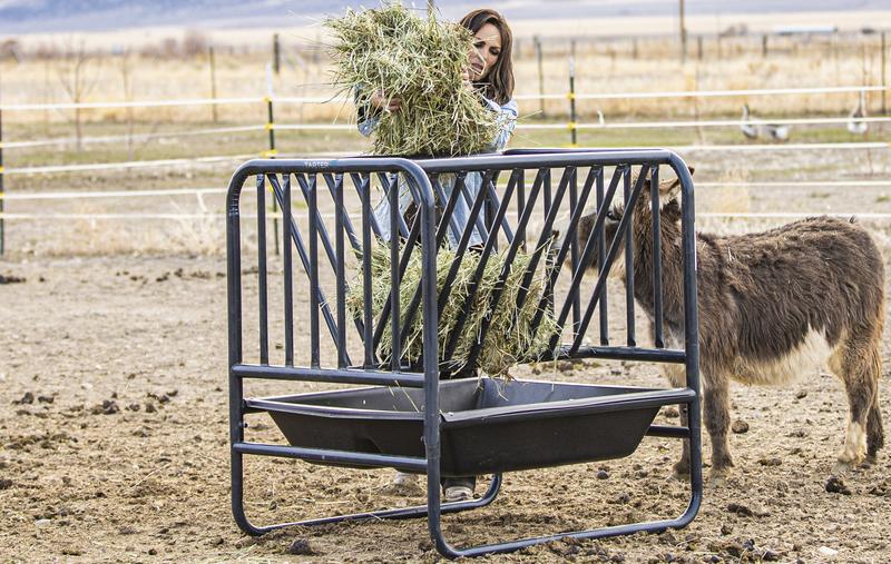 Adjustable Hay And Grain Feeder