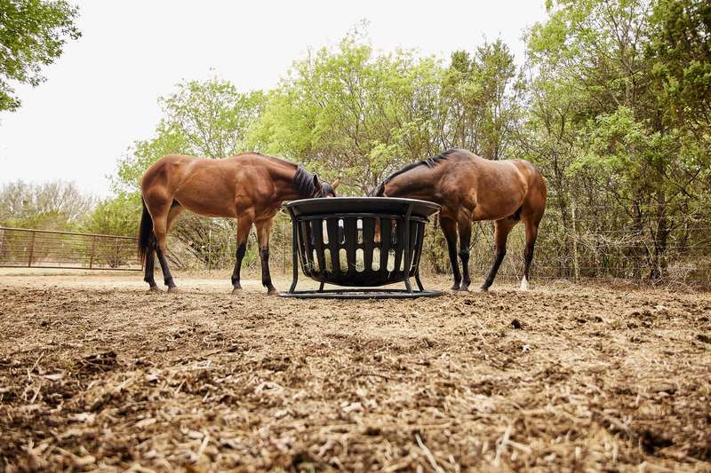 Equine Hay Basket
