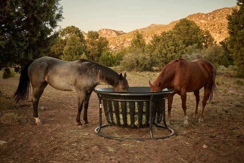 Equine Hay Basket