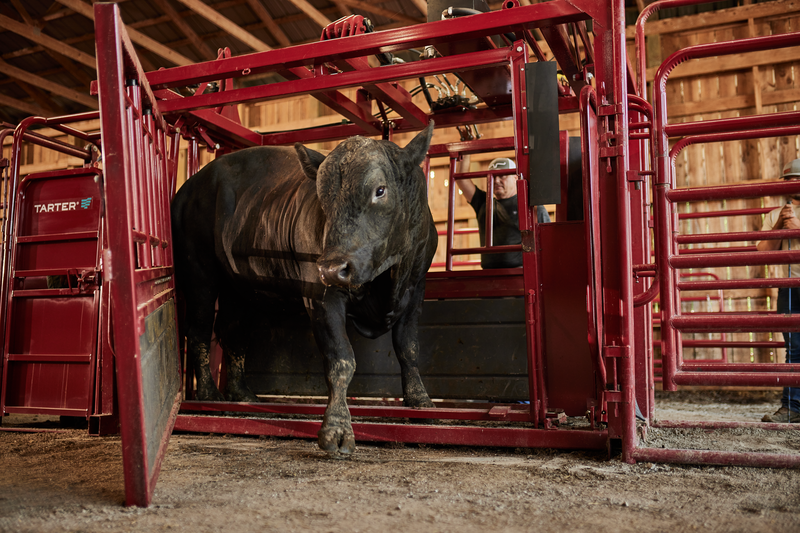 Cattlemaster Series 12 Hydraulic Chute