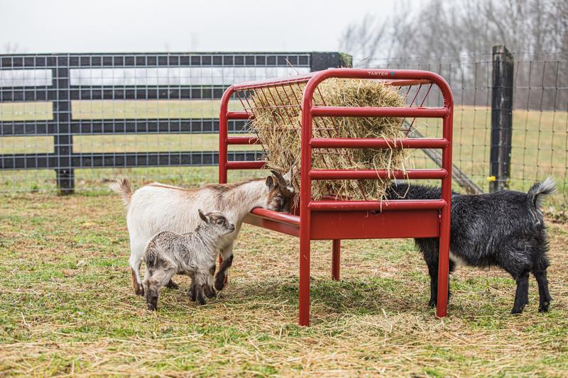 Duratough Small Animal Feeder