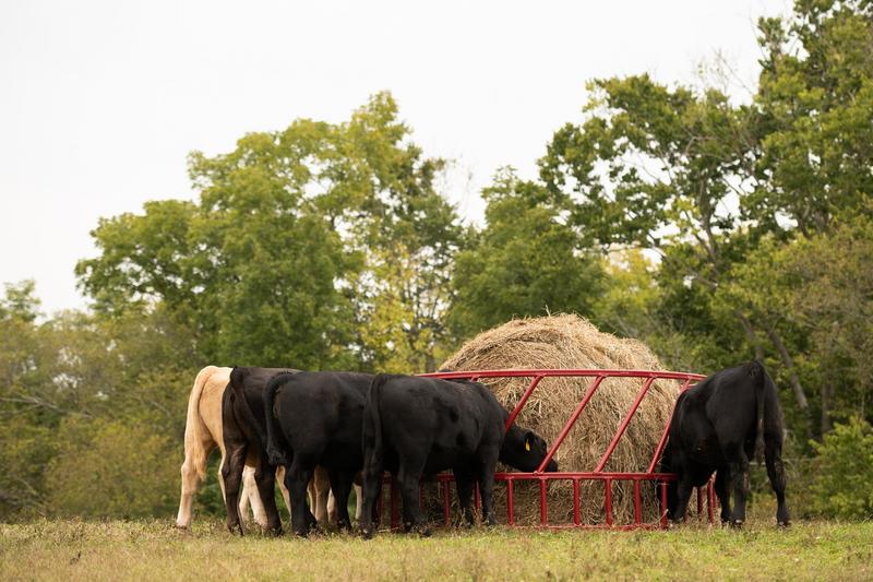 Steelcor Cattle Hay Feeder