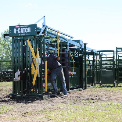 Q-Catch 87 Series Portable Cattle Chute, Alley and Tub