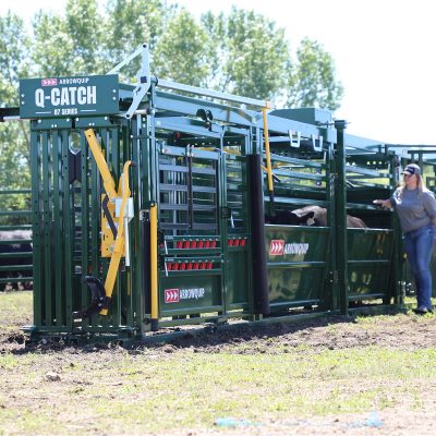 Q-Catch 87 Series Portable Cattle Chute, Alley and Tub
