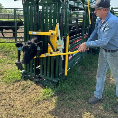 The Heeler 87C Portable Corral