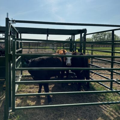 The Heeler 87C Portable Corral